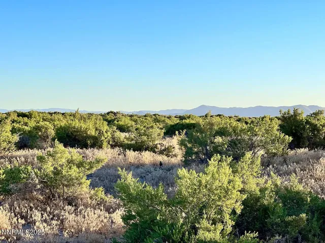 a view of a city with green space