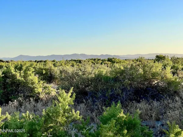 a view of city and ocean