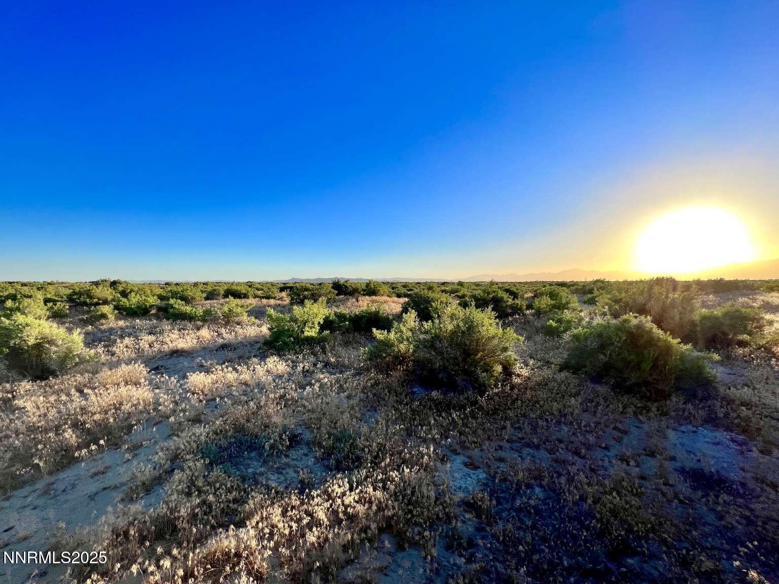 10 Valhalla Road Winnemucca, NV 89445 - Photo 10 of 35 a view of a forest with a street