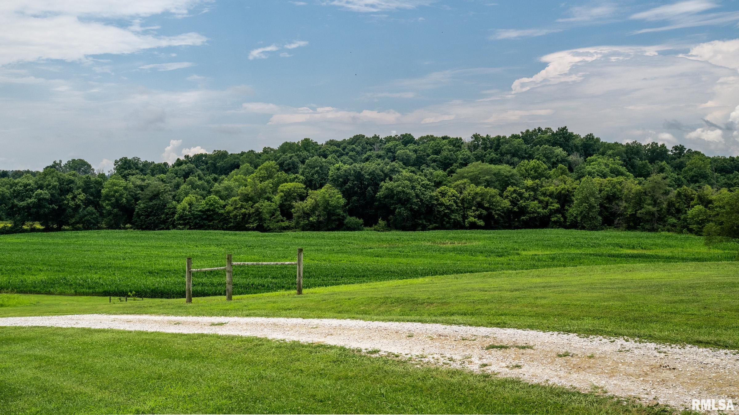 10891 Lick Creek Road Buncombe, IL 62912 - Photo 13 of 31