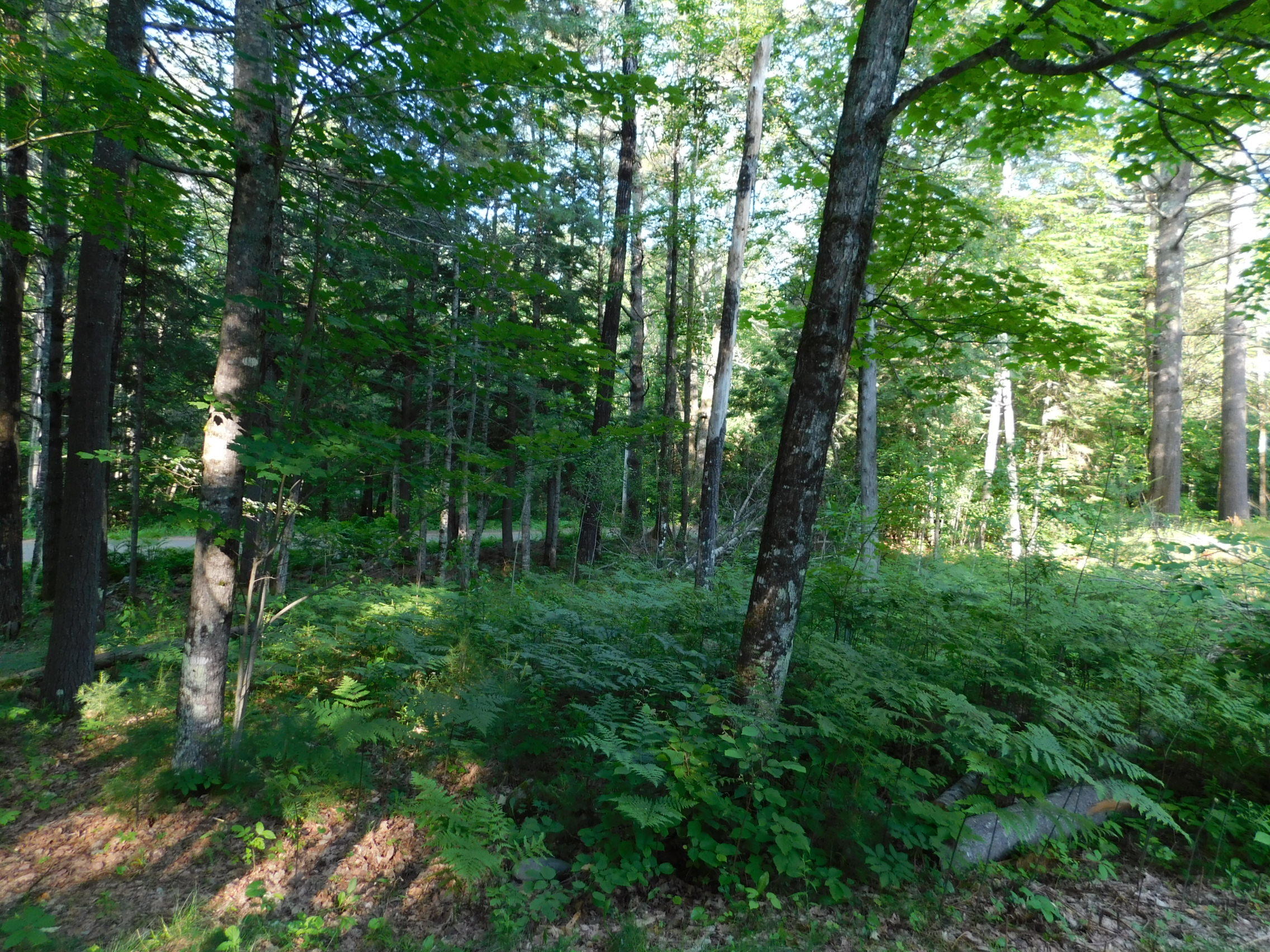 59 Hubbard Road Canaan, ME 04924 - Photo 10 of 12 DSCN0007