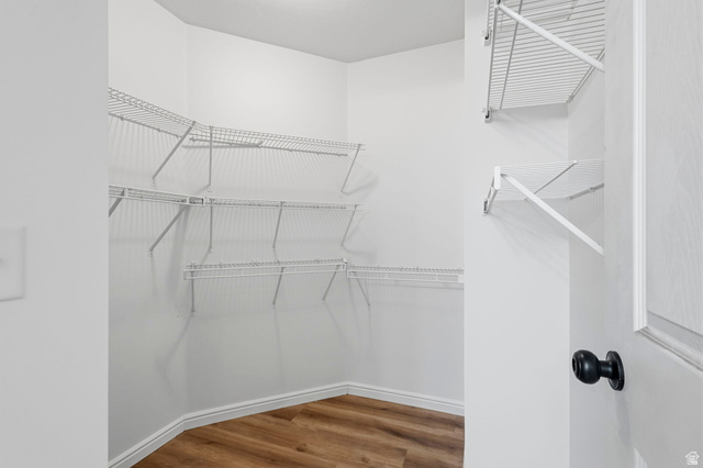 2047 West Abbey View Road, Unit 17C West Jordan, UT 84088 - Photo 32 of 50 Walk-in closet featuring wire shelving, white walls, and wood-finish flooring