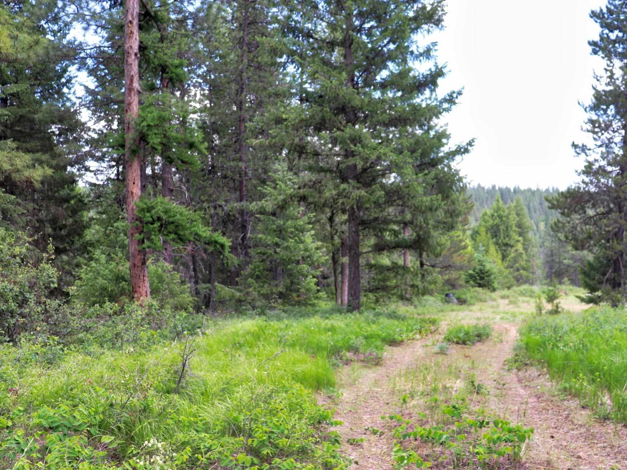5159 Goah Way Springdale, WA 99173 - Photo 1 of 11