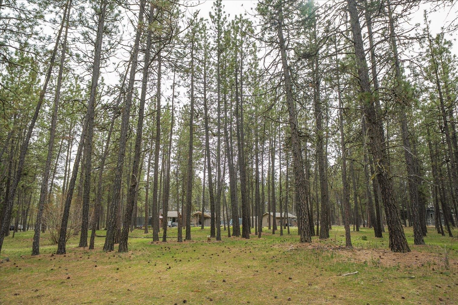 7114 West Melville Road Cheney, WA 99004 - Photo 38 of 50