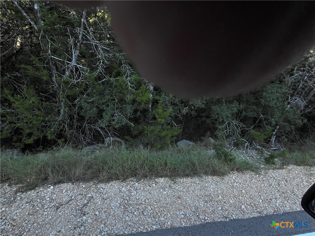 1351 Moerike Road Canyon Lake, TX 78133 - Photo 4 of 6