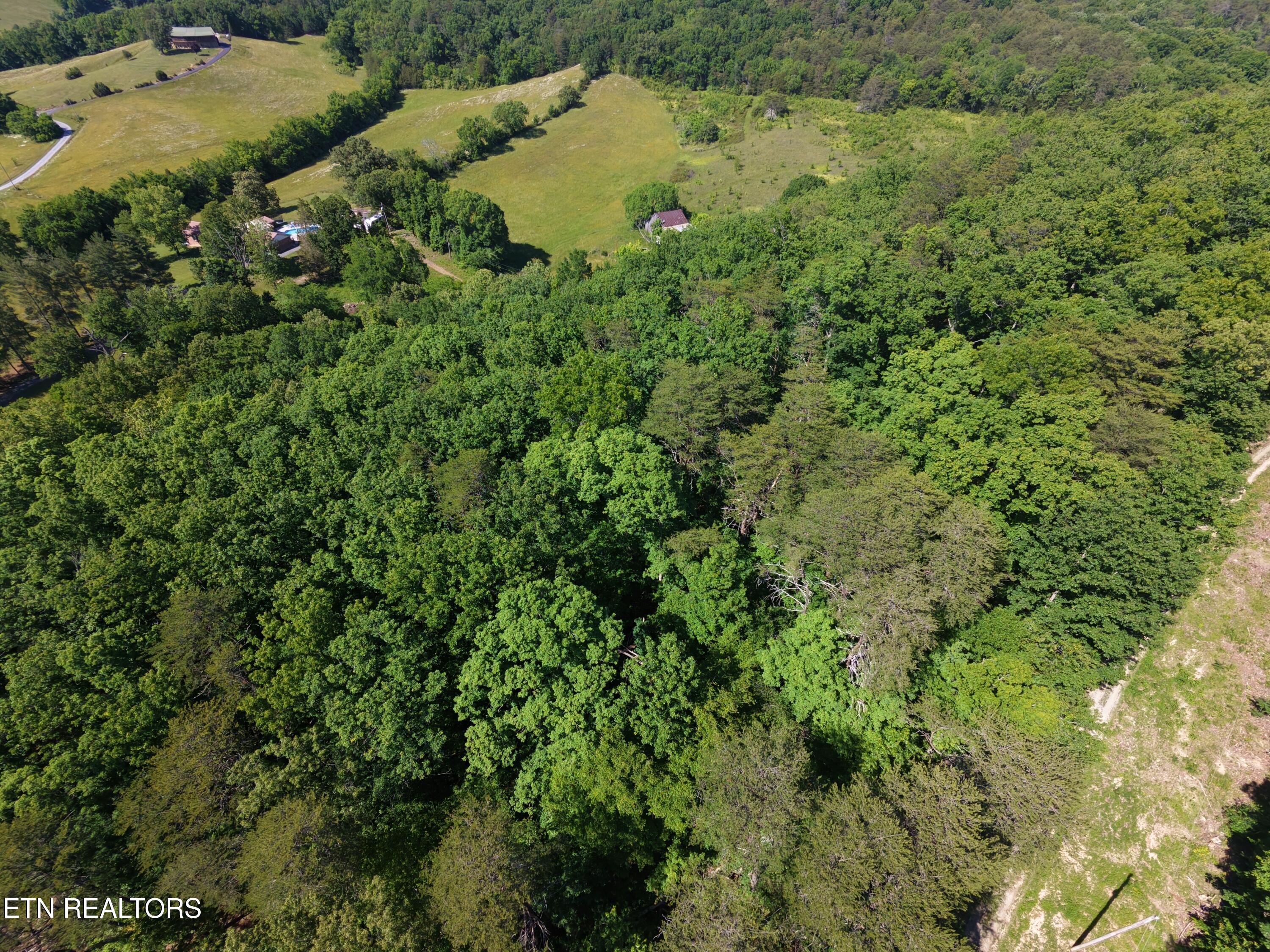 Boulder Way Newport, TN 37821 - Photo 9 of 11 dji_fly_20260512_161926_0117_17788195103