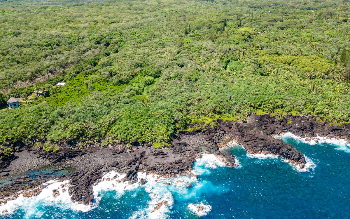 8 Government Beach Road Pahoa, HI 96778 - Photo 5 of 10
