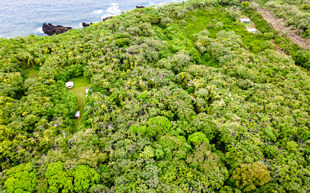8 Government Beach Road Pahoa, HI 96778 - Photo 6 of 10