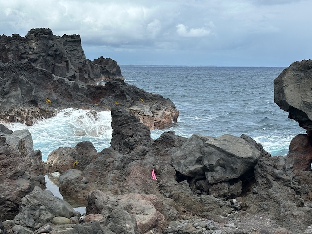 8 Government Beach Road Pahoa, HI 96778 - Photo 8 of 10