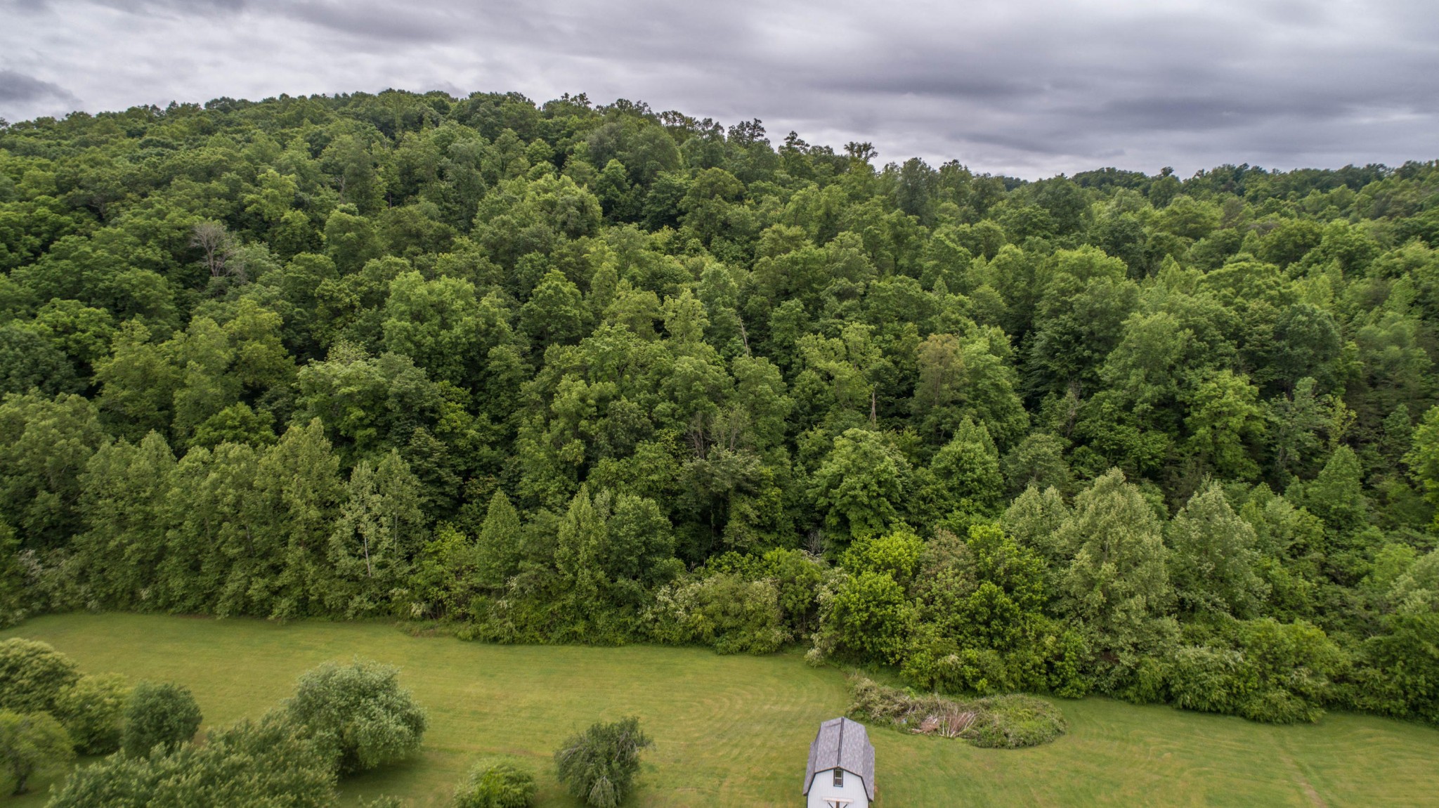 0 West Wolf Valley Road Clinton, TN 37716 - Photo 18 of 27
