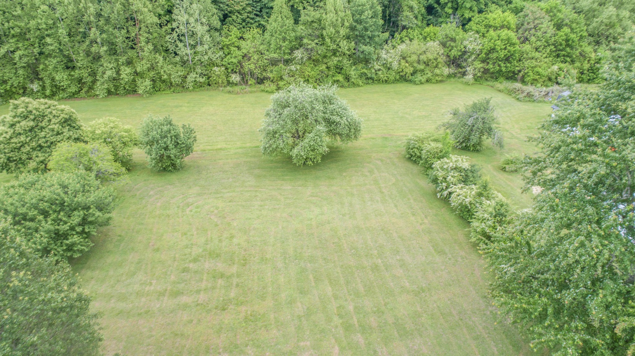 0 West Wolf Valley Road Clinton, TN 37716 - Photo 4 of 27