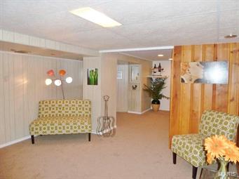 9930 MacKenzie Road St. Louis, MO 63123 - Photo 19 of 39