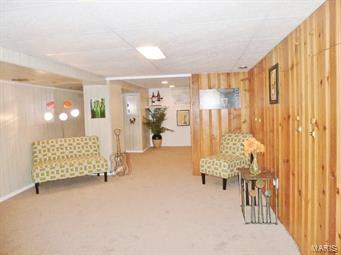 9930 MacKenzie Road St. Louis, MO 63123 - Photo 20 of 39