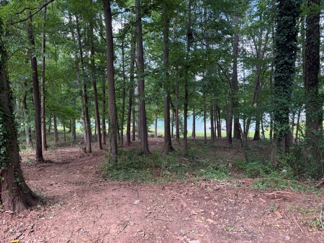 122 Bud Lane Anderson, SC 29625 - Photo 1 of 4 Mature trees frame glimpses of serene waters in this wooded sanctuary.