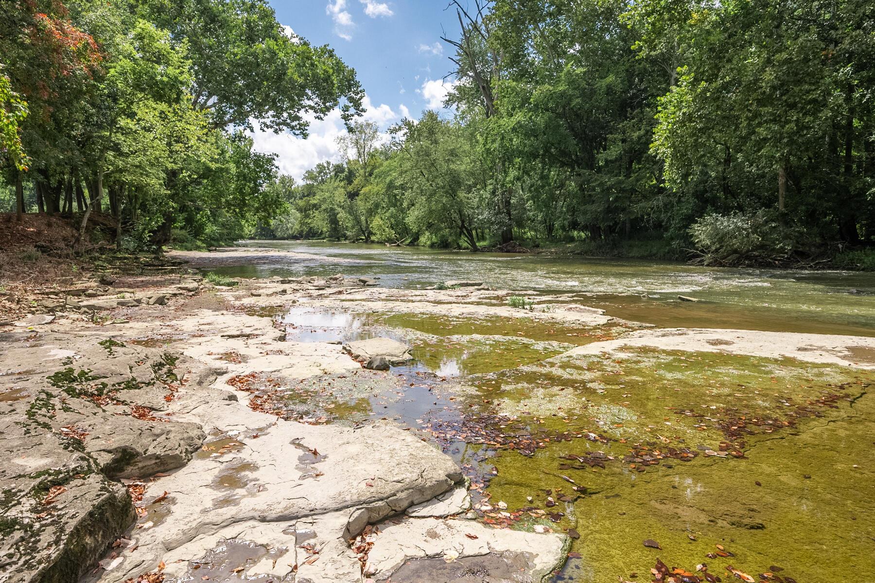 830 Pollock Road Delaware, OH 43015 - Photo 51 of 80 Olentangy River