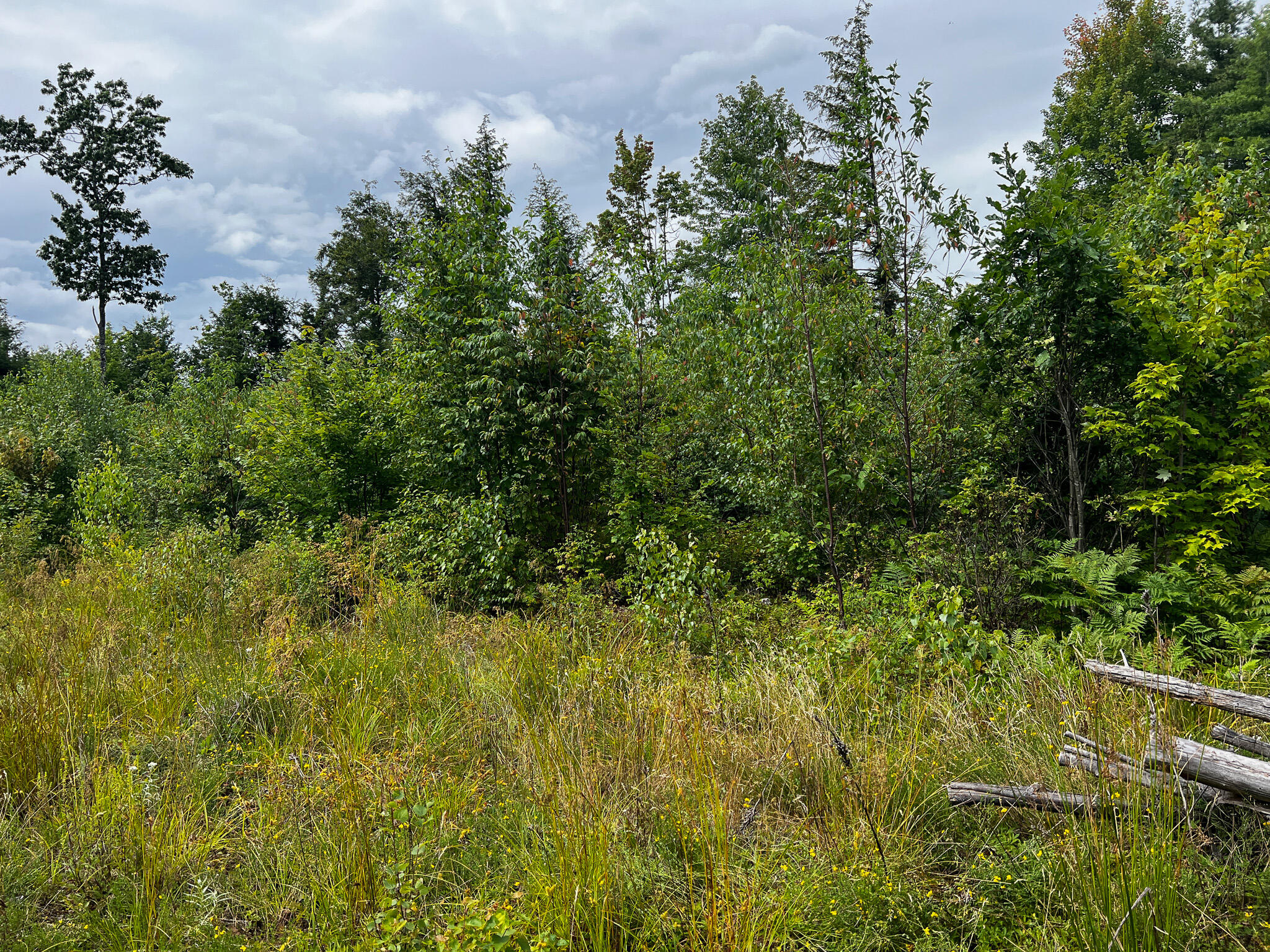 Lot 6-3 Brimstone Road Lagrange, ME 04453 - Photo 4 of 9 4