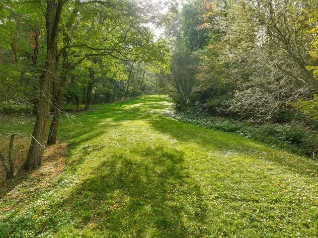 a view of yard with green space