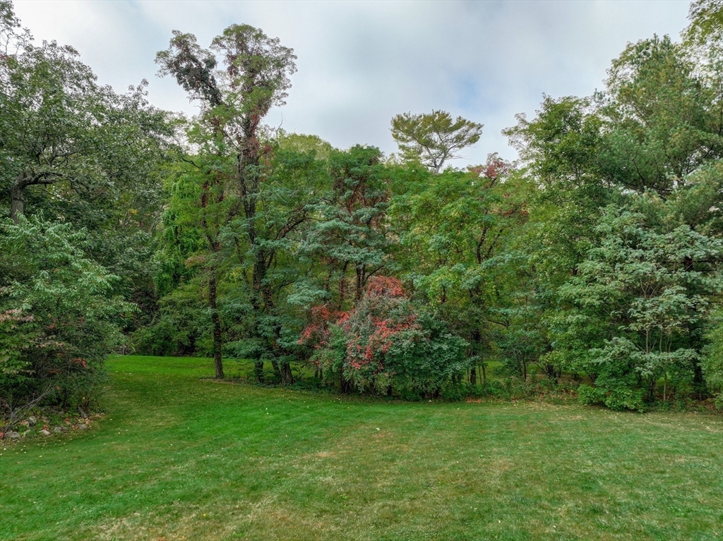 79 Goddard Avenue Brookline, MA 02445 - Photo 15 of 25 a view of a trees with a yard