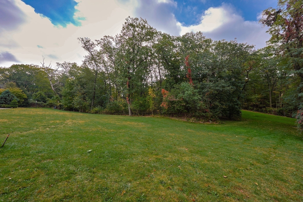 79 Goddard Avenue Brookline, MA 02445 - Photo 16 of 25 a view of a grassy field with trees