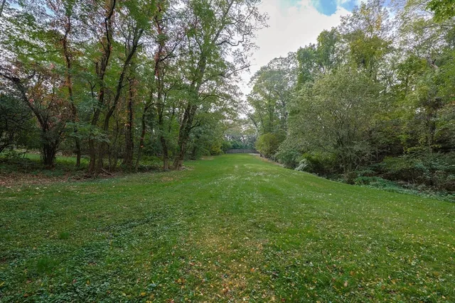a view of a grassy field with trees in the background