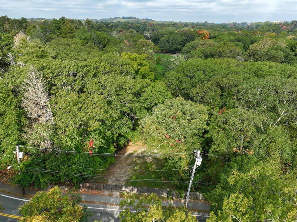 79 Goddard Avenue Brookline, MA 02445 - Photo 24 of 25 a view of a forest with a street