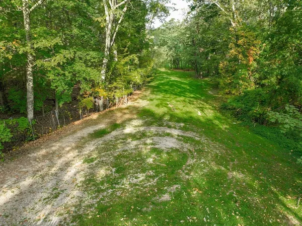 a yard with lots of trees