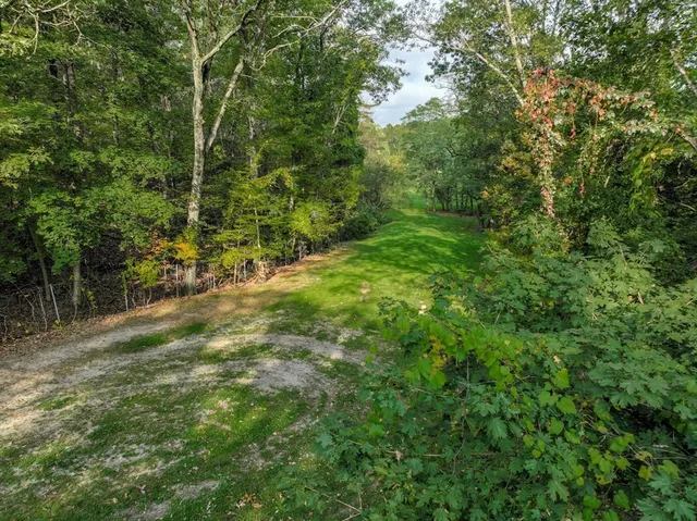 a view of a yard with a tree
