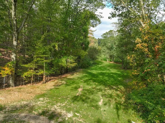 a view of a field with plants and large trees