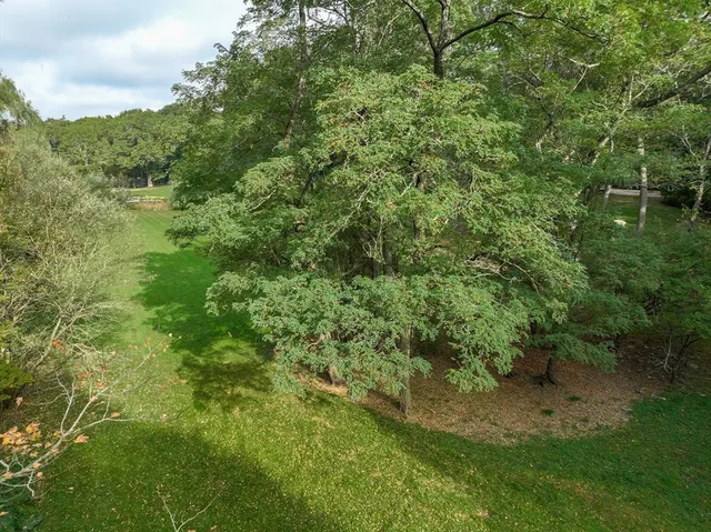 a view of a forest with a street