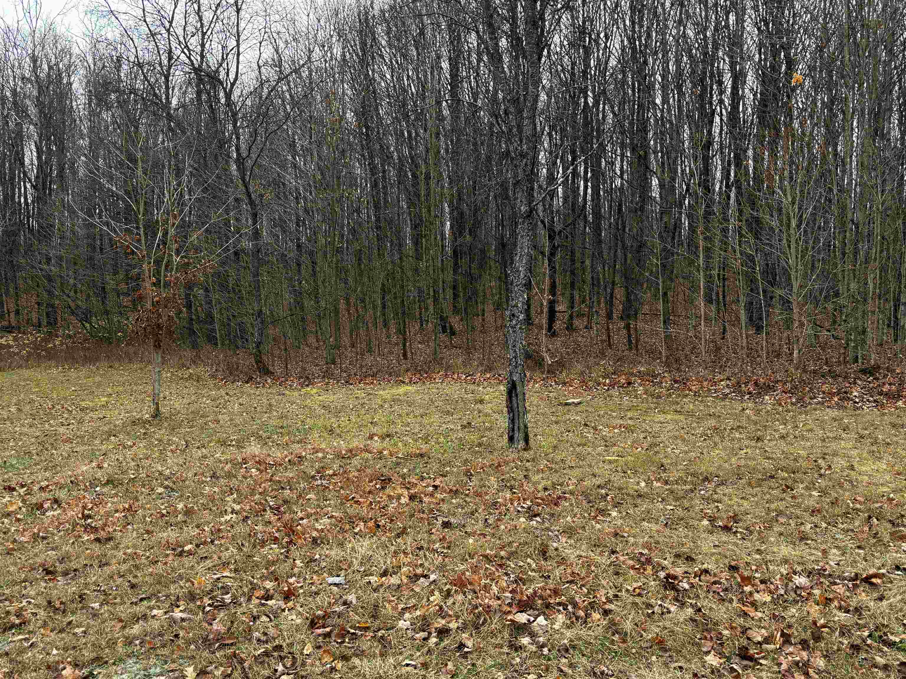 West Elder Road Mancelona, MI 49659 - Photo 8 of 28 Gallery Image 8