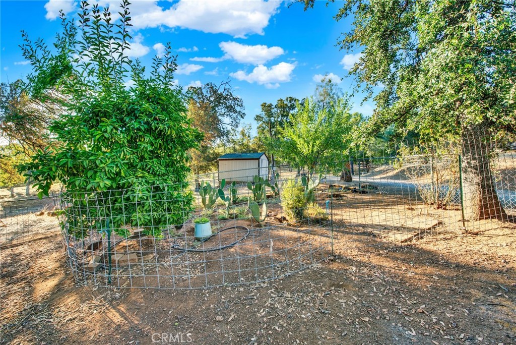 14721 Nevis Road Red Bluff, CA 96080 - Photo 39 of 50 a view of a house with backyard and trees