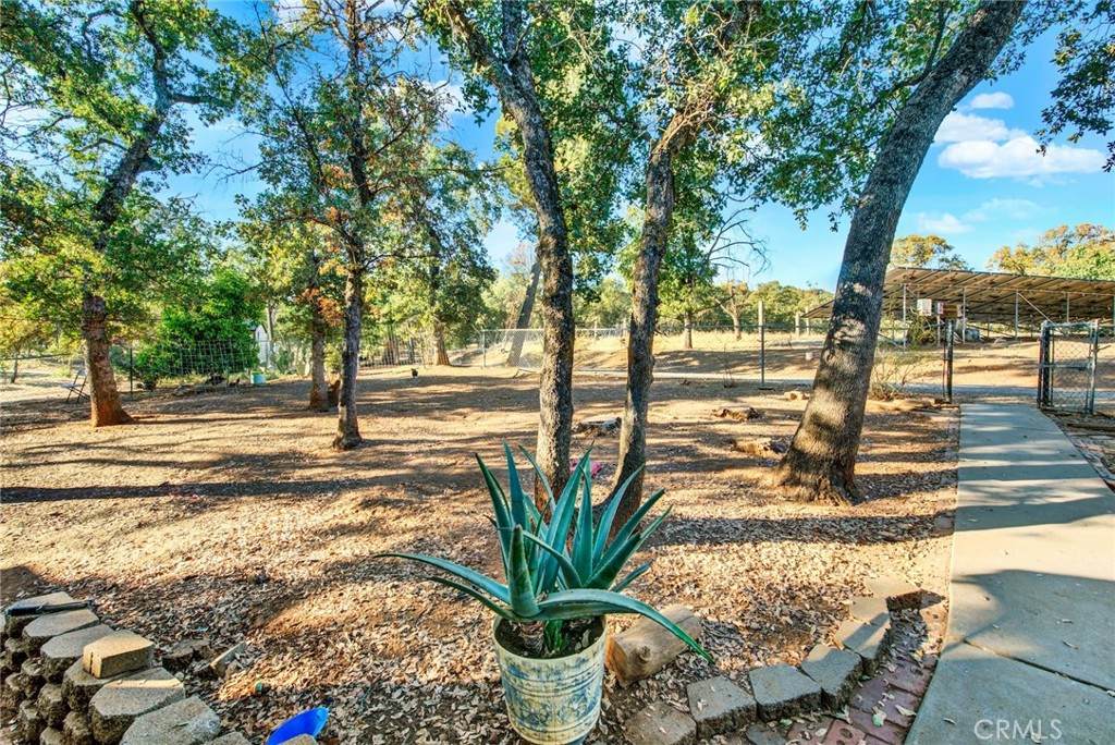 14721 Nevis Road Red Bluff, CA 96080 - Photo 40 of 50 a view of a swimming pool with a patio