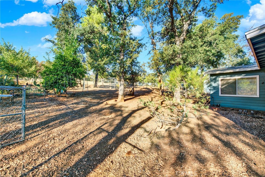 14721 Nevis Road Red Bluff, CA 96080 - Photo 41 of 50 a view of yard