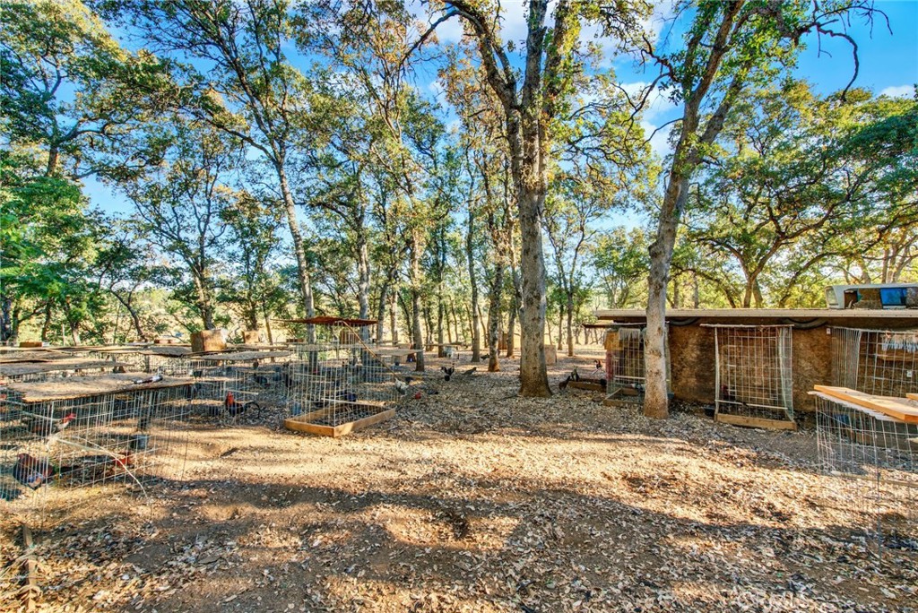 14721 Nevis Road Red Bluff, CA 96080 - Photo 44 of 50 a backyard of a house with lots of green space