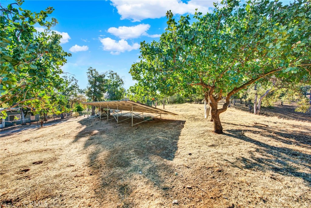 14721 Nevis Road Red Bluff, CA 96080 - Photo 47 of 50 a view of yard with trees