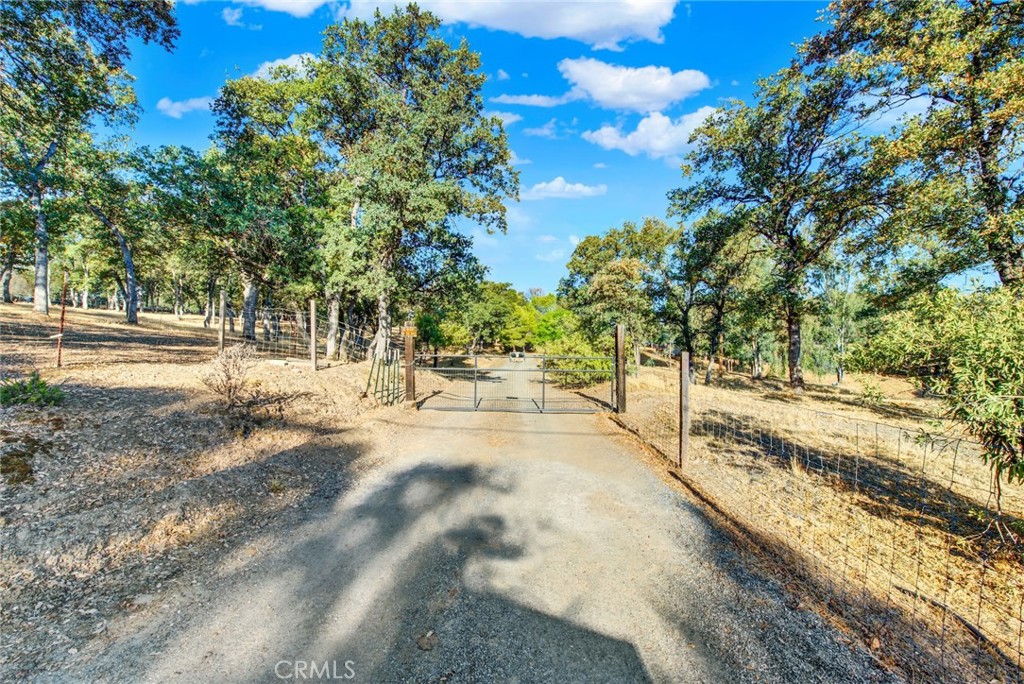 14721 Nevis Road Red Bluff, CA 96080 - Photo 7 of 50 a view of yard with trees