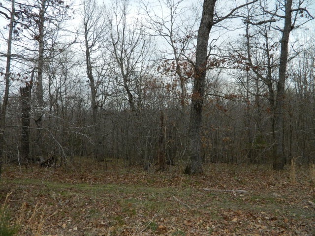 84 M/l Ac State Road, Unit A Auxvasse, MO 65231 - Photo 6 of 6