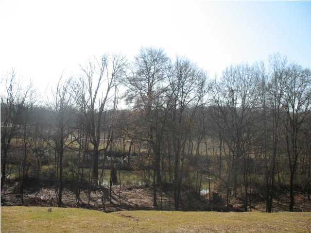 2780 Forest Road, Unit LT 22 Chattanooga, TN 37406 - Photo 4 of 4 Additional Photo