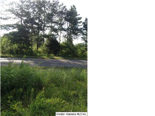 11506 Stemley Road, Unit 2 89 AC Lincoln, AL 35096 - Photo 10 of 20