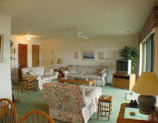 835 Gangplank Road, Unit 105 Moneta, VA 24121 - Photo 3 of 5 a living room with furniture