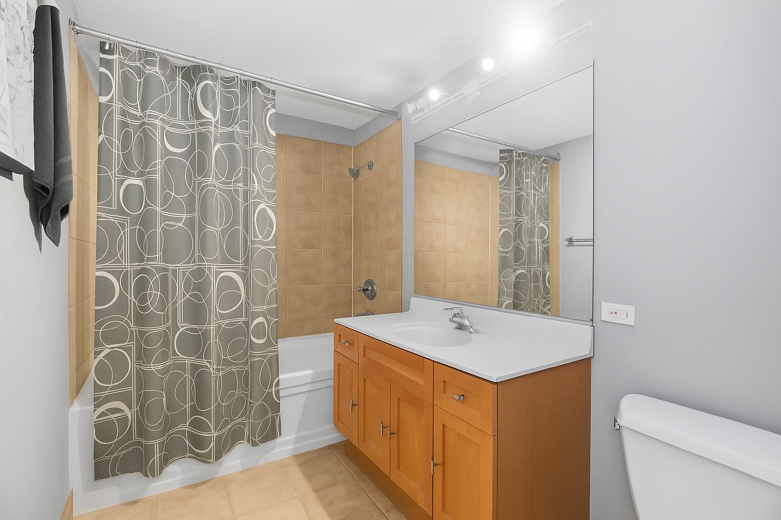 1845 South Michigan Avenue, Unit 808 Chicago, IL 60616 - Photo 11 of 14 a bathroom with a sink a toilet and shower