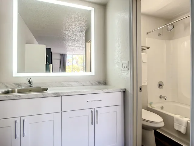 a bathroom with a granite countertop sink toilet and shower