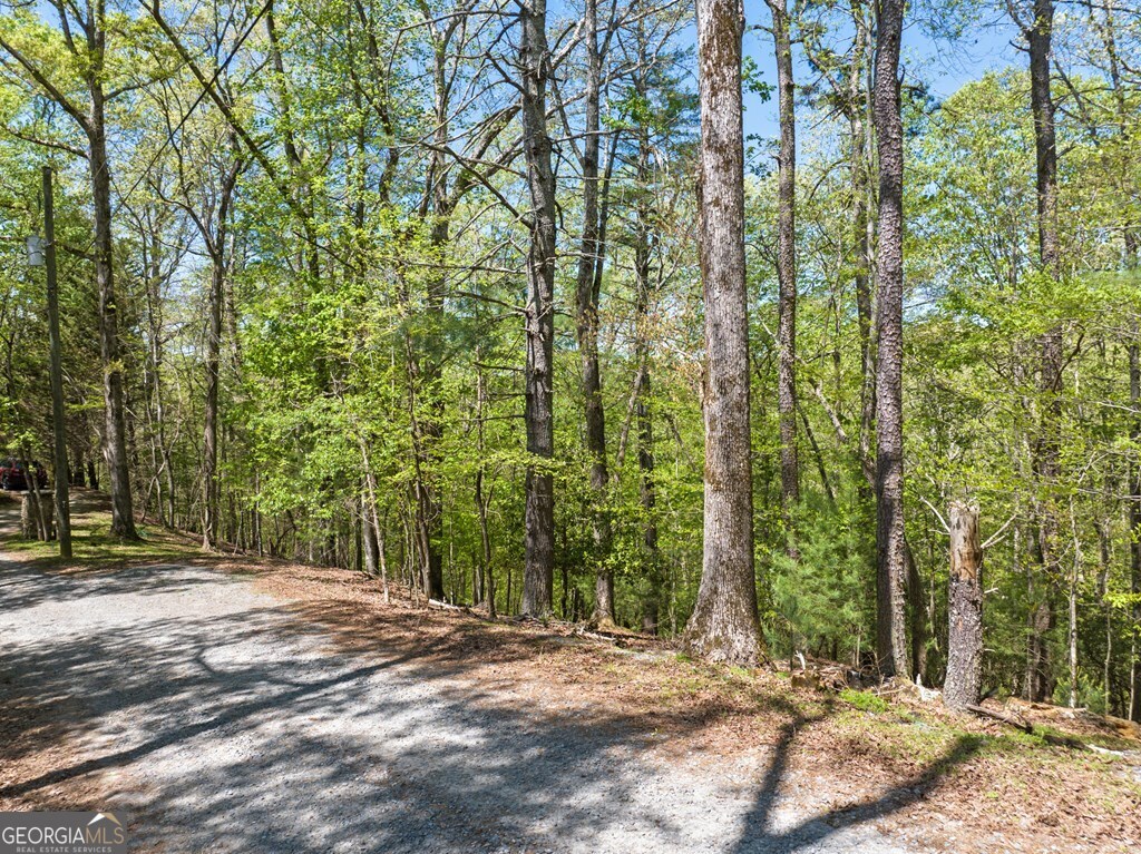 Lot 560 Chattle Way Ellijay, GA 30540 - Photo 12 of 26 a view of a yard with plants and trees