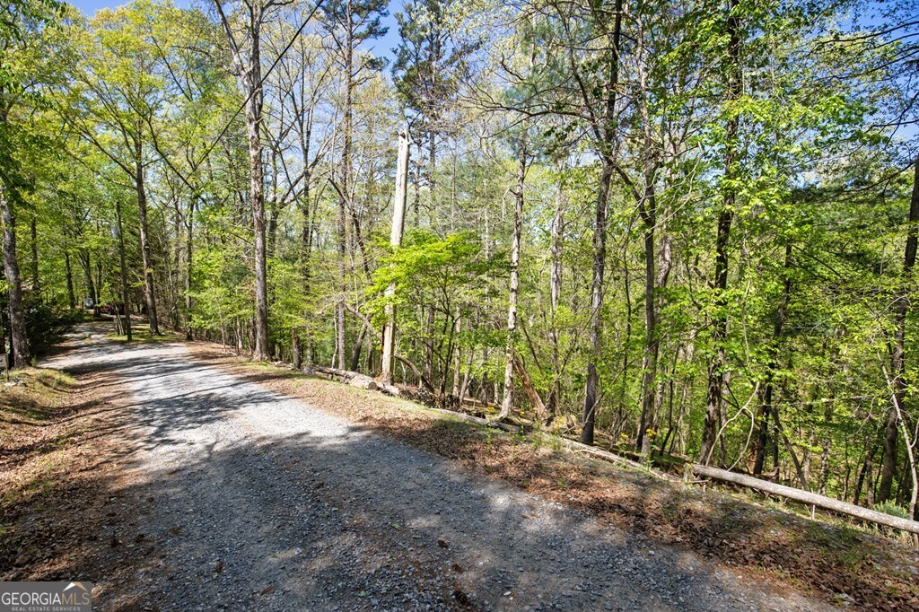 Lot 560 Chattle Way Ellijay, GA 30540 - Photo 13 of 26 a view of a yard with plants and trees