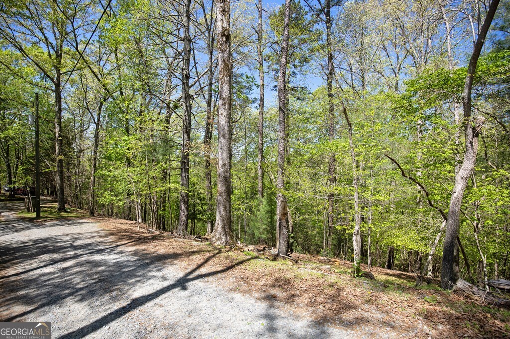 Lot 560 Chattle Way Ellijay, GA 30540 - Photo 14 of 26 a view of a yard with plants and trees