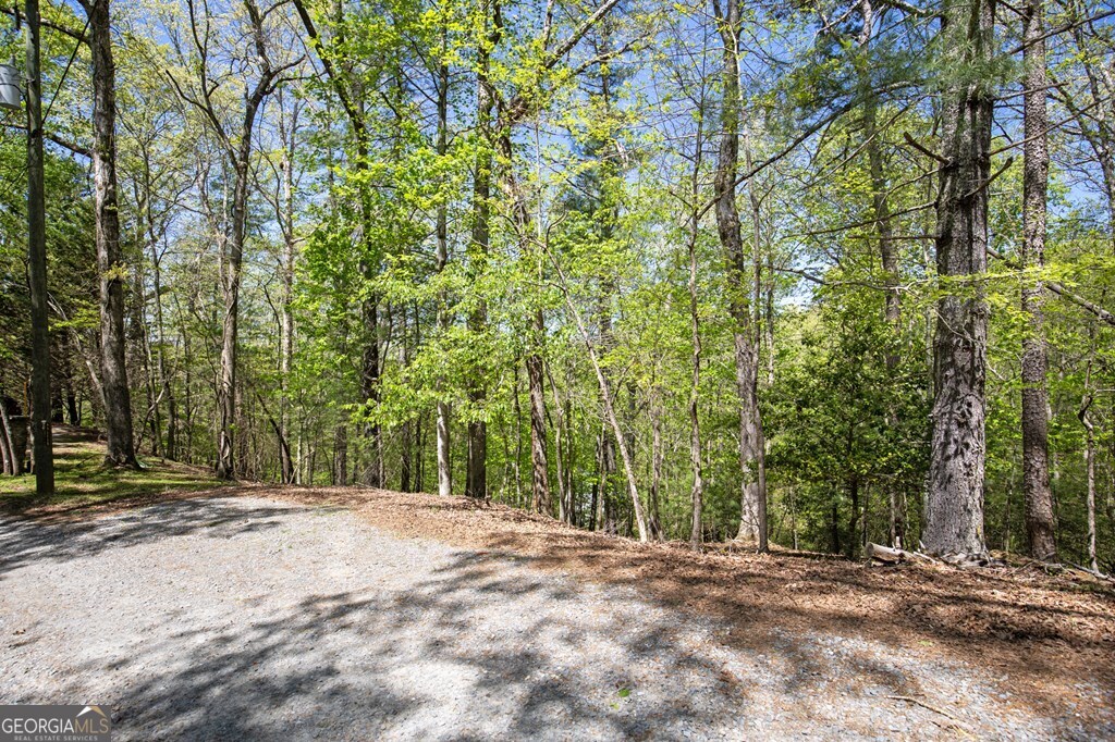 Lot 560 Chattle Way Ellijay, GA 30540 - Photo 15 of 26 a view of outdoor space and yard