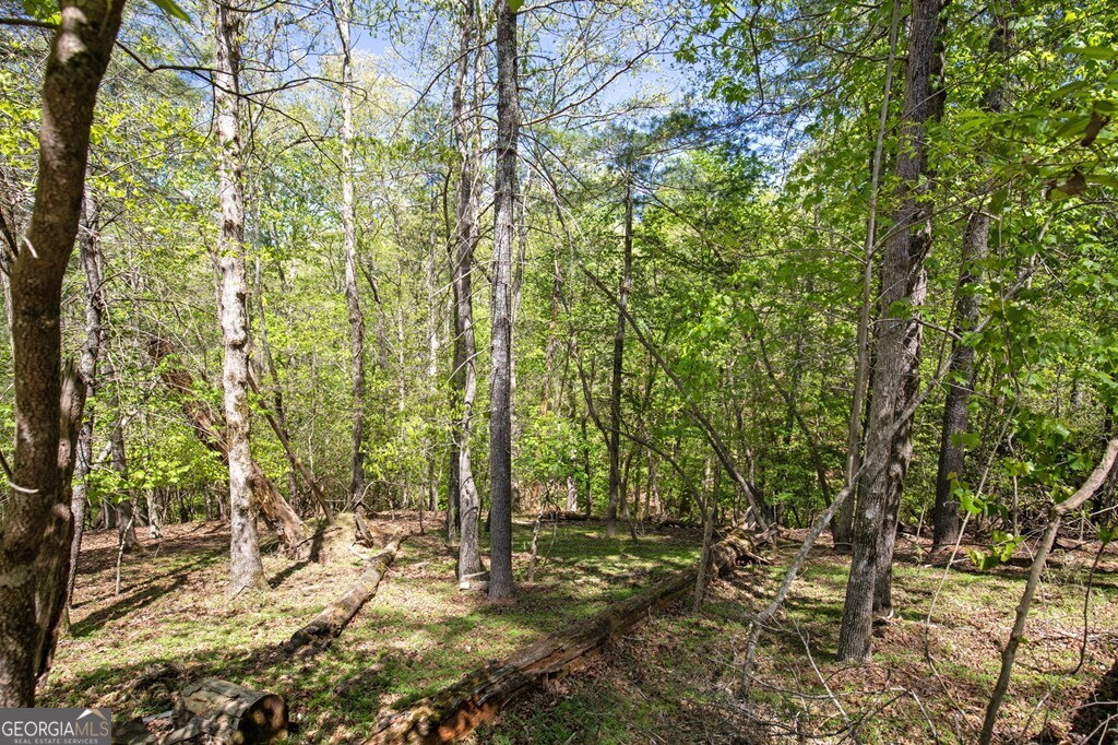 Lot 560 Chattle Way Ellijay, GA 30540 - Photo 16 of 26 a view of a yard with plants and trees