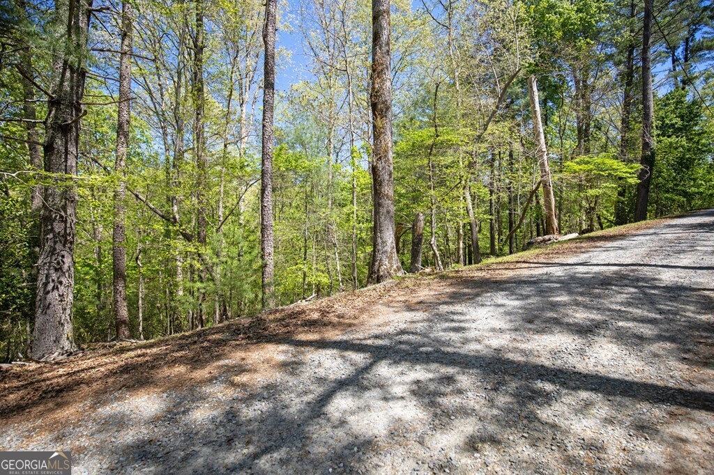Lot 560 Chattle Way Ellijay, GA 30540 - Photo 17 of 26 a view of a yard with plants and trees