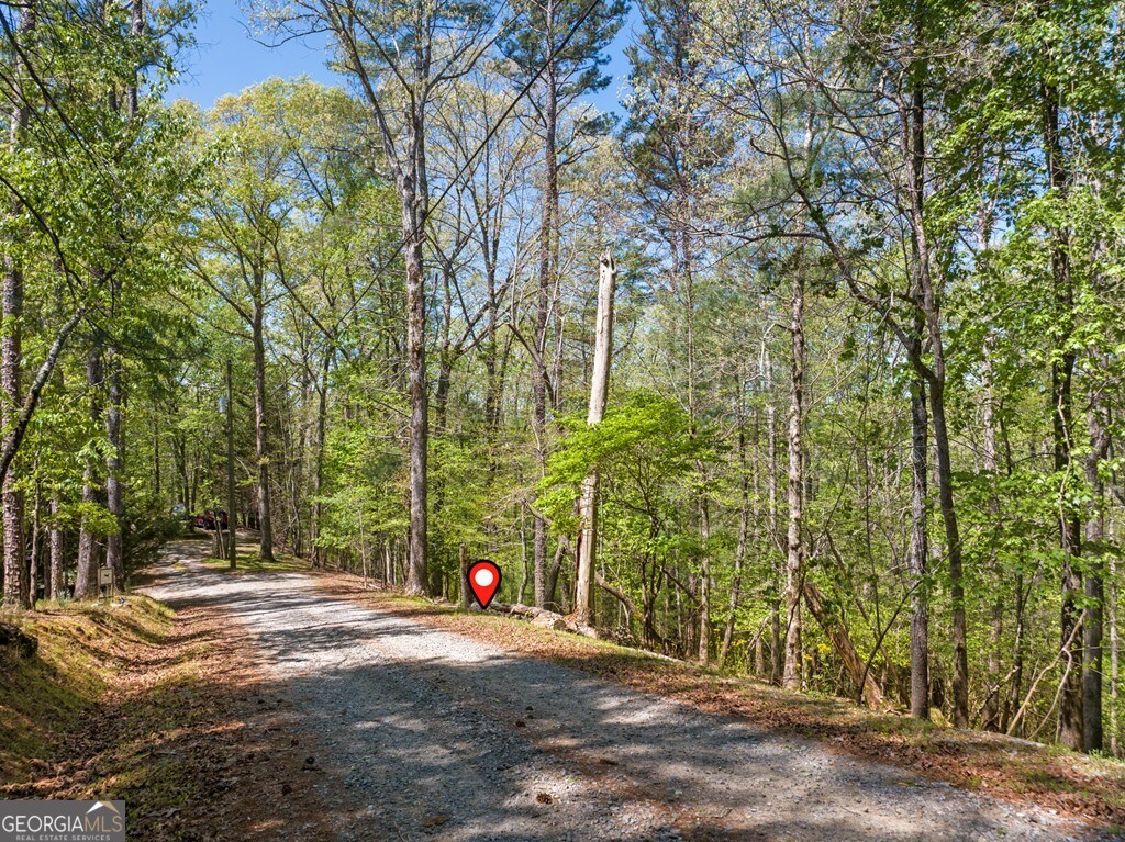 Lot 560 Chattle Way Ellijay, GA 30540 - Photo 2 of 26