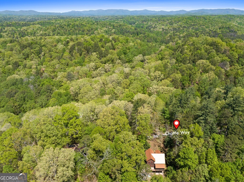 Lot 560 Chattle Way Ellijay, GA 30540 - Photo 4 of 26